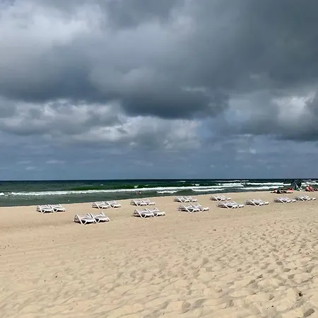 Kunni 3.0 Palanga